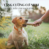 Xương Gặm Cho Chó PeCow Bằng Gỗ Cafe